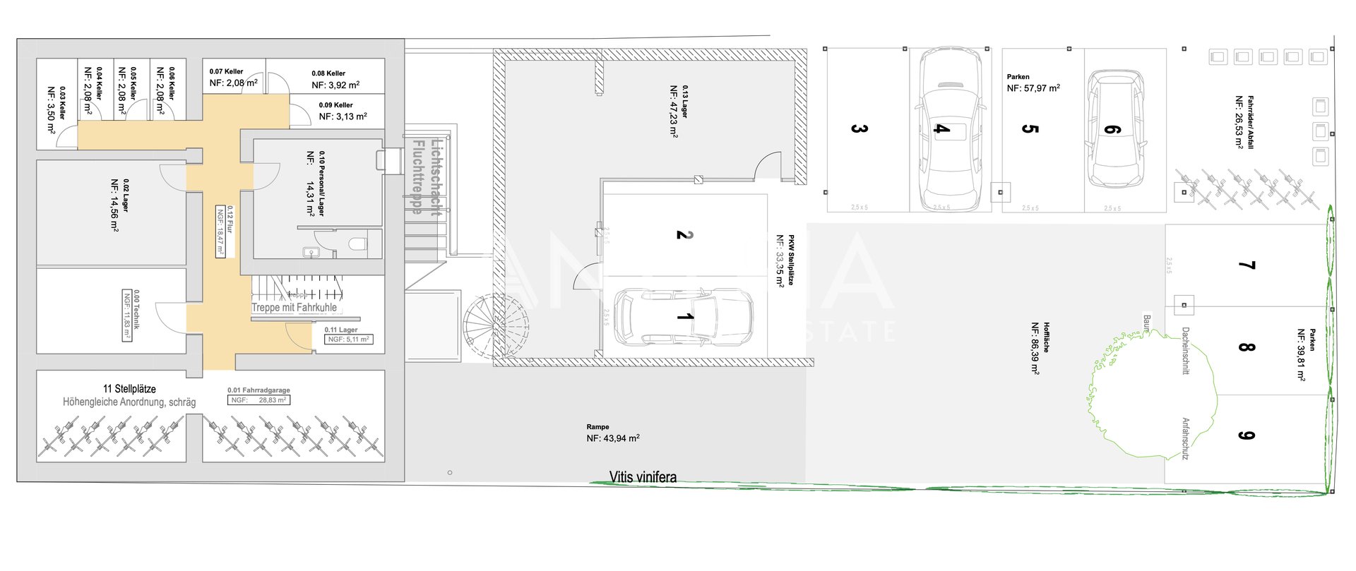 Grundriss KG/Parken